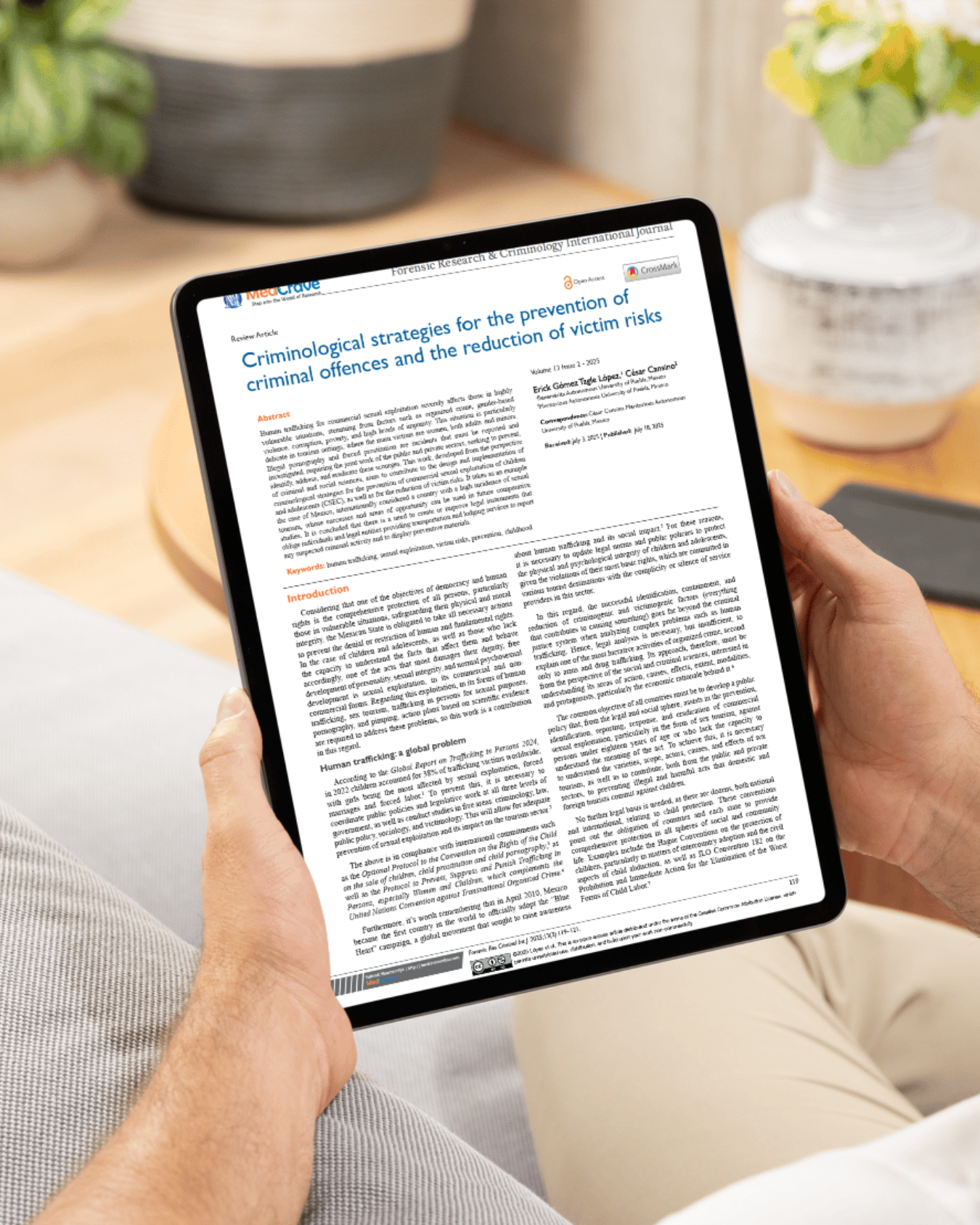 Criminological strategies